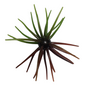Sea Urchin (Koike) Bass Lure 10cm - Watermelon and Pumpkin (1s)