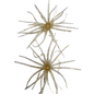 Sea Urchin Bass Lures (Koike) 7.5cm - Gold Flakes  (2pcs)