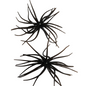 Sea Urchin Bass Lures (Koike) 7.5cm - Watermelon (2pcs)