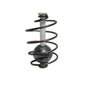 Carp Spring Weighted - L